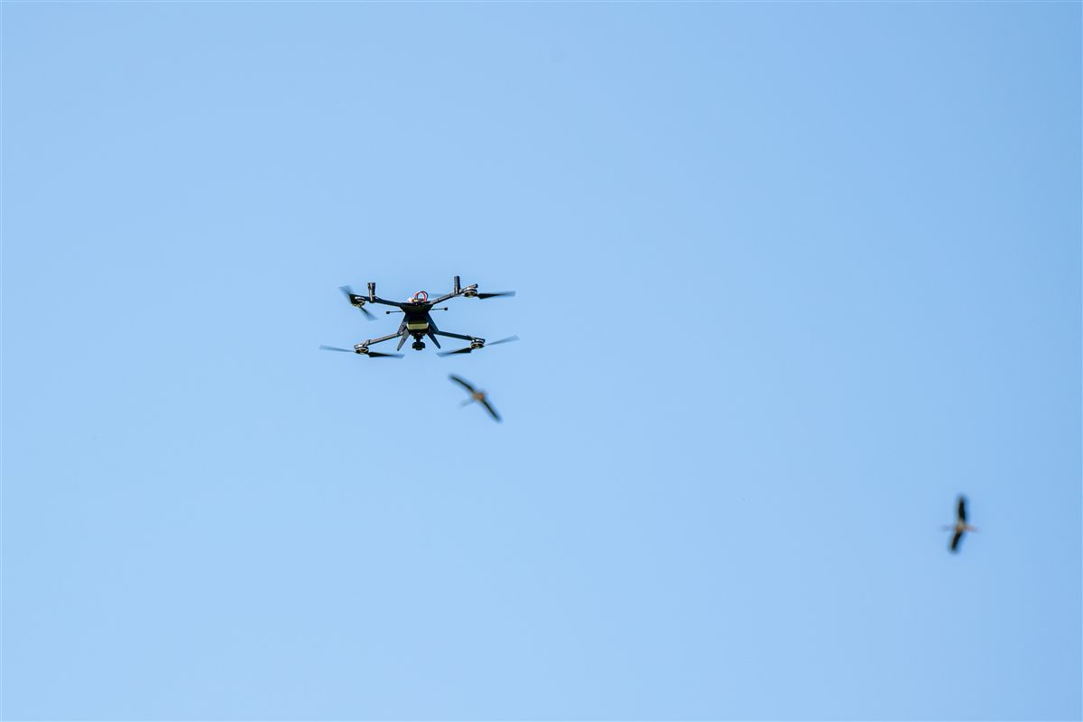 OrniShield drone in flight